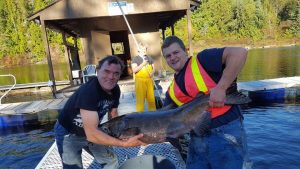 Big Chinook And Volunteers