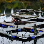 © Friends Of The Marble River Hatchery2019005