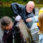 © Friends Of The Marble River Hatchery2019024