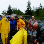 © Friends Of The Marble River Hatchery2019028