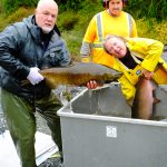 © Friends Of The Marble River Hatchery2019029