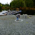 © Friends Of The Marble River Hatchery2019033