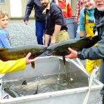 © Friends Of The Marble River Hatchery2019051