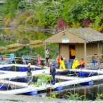 © Friends Of The Marble River Hatchery2019088