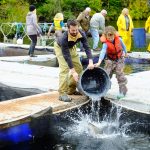 © Friends Of The Marble River Hatchery2019095