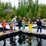 © Friends Of The Marble River Hatchery2019098