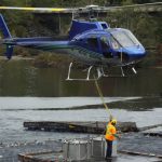 © Friends Of The Marble River Hatchery2019107