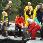 © Friends Of The Marble River Hatchery2019121