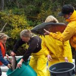 © Friends Of The Marble River Hatchery2019126